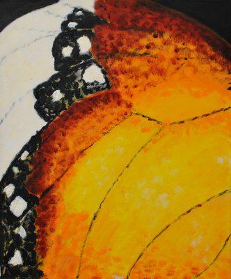 Monarch_8418
